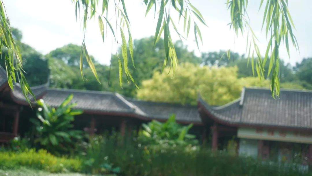DƬ